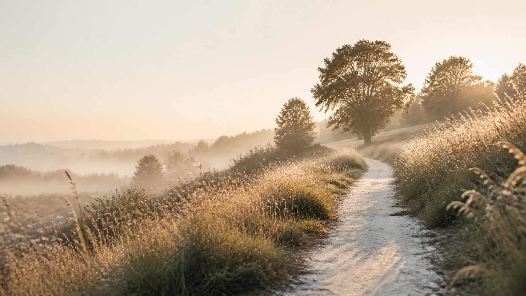 Een rustig pad door het landschap in het warme ochtendlicht